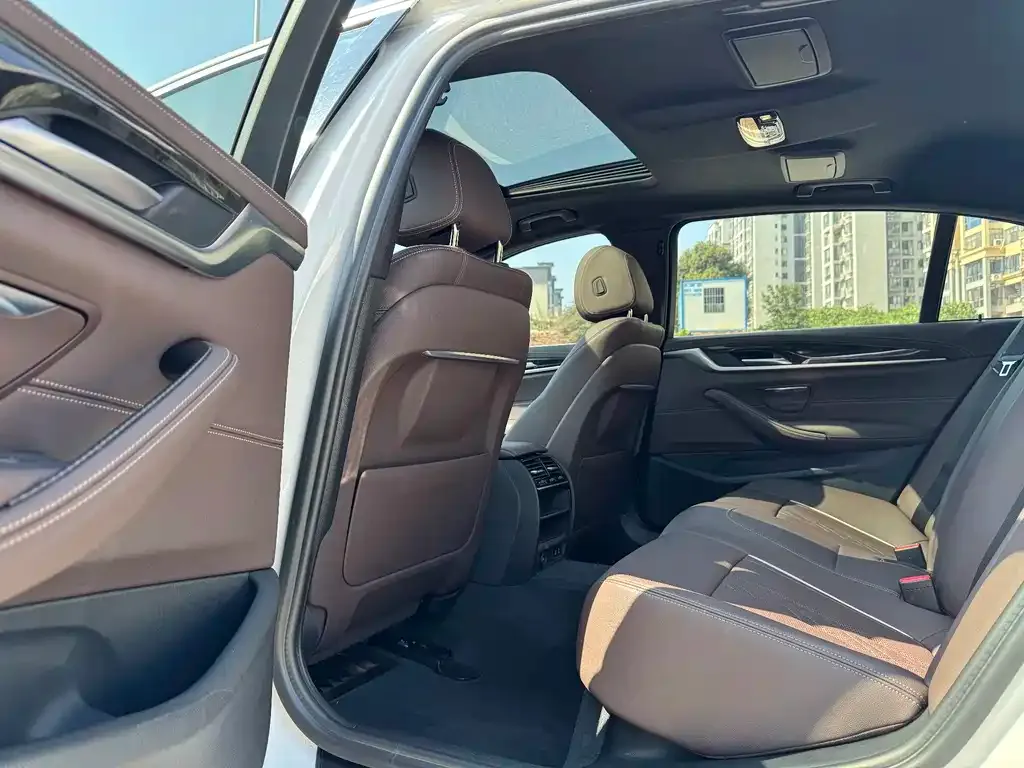 BMW 5 Series 2022 из CN, фото 10