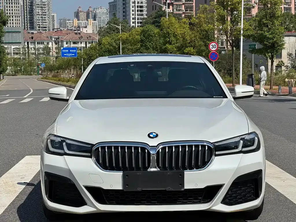 BMW 5 Series 2022 из CN, фото 2