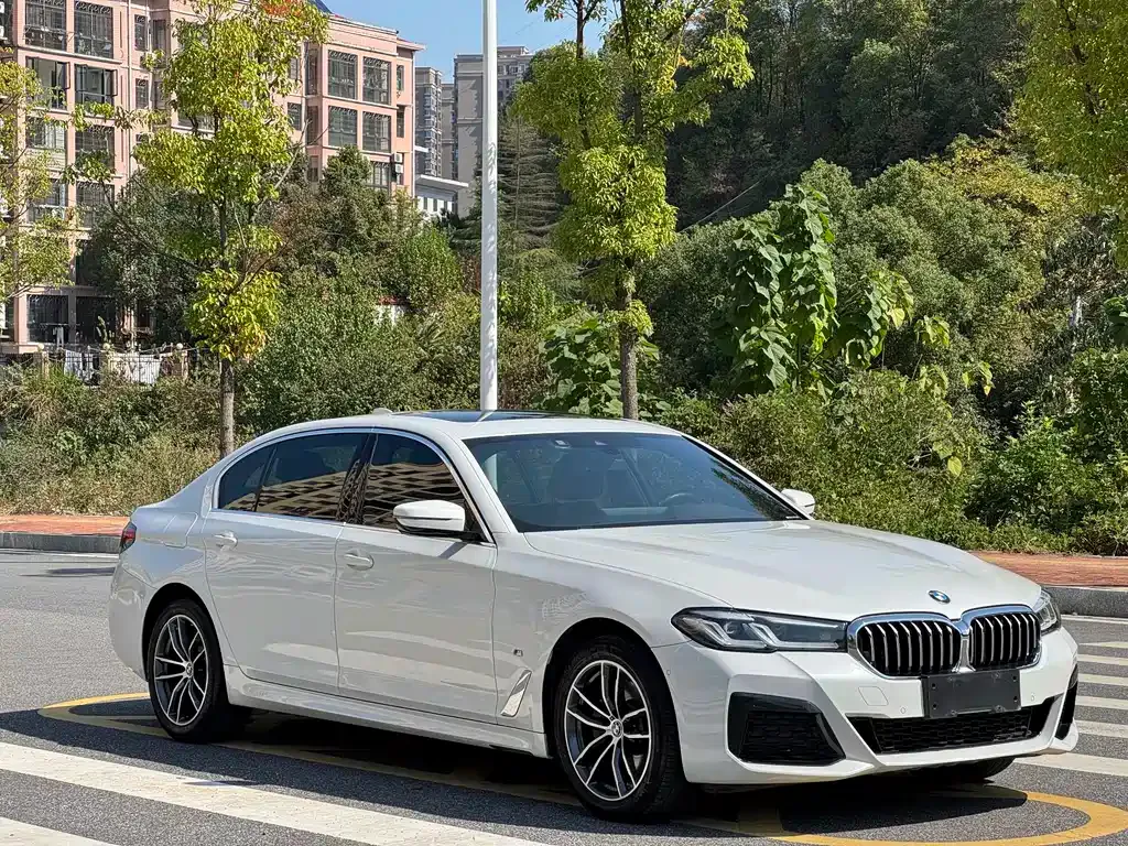 BMW 5 Series 2022 из CN, фото 3