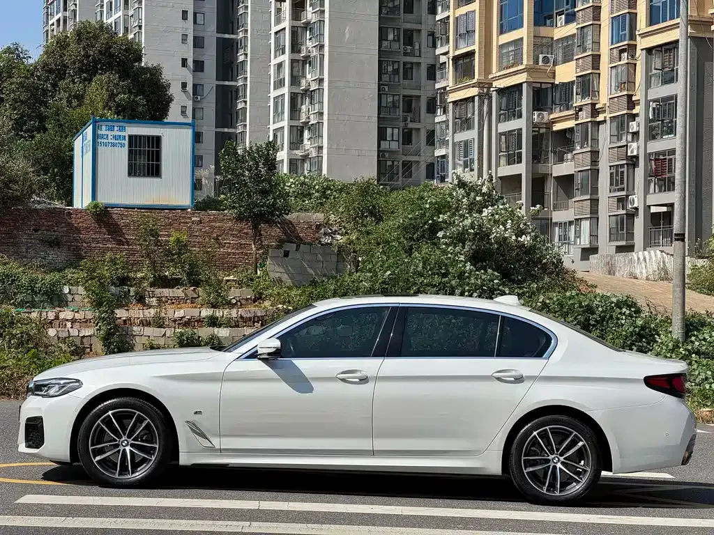 BMW 5 Series 2022 из CN, фото 4
