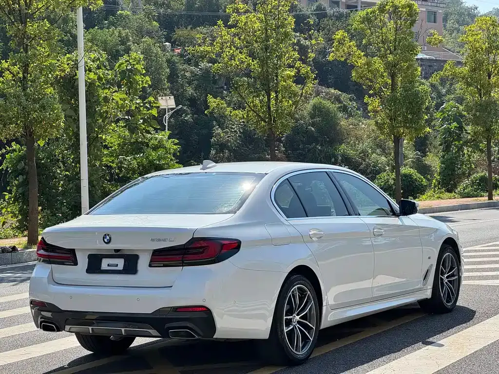 BMW 5 Series 2022 из CN, фото 5