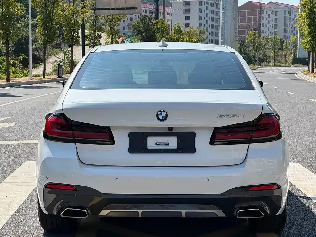 BMW 5 Series 2022 из CN, фото 6