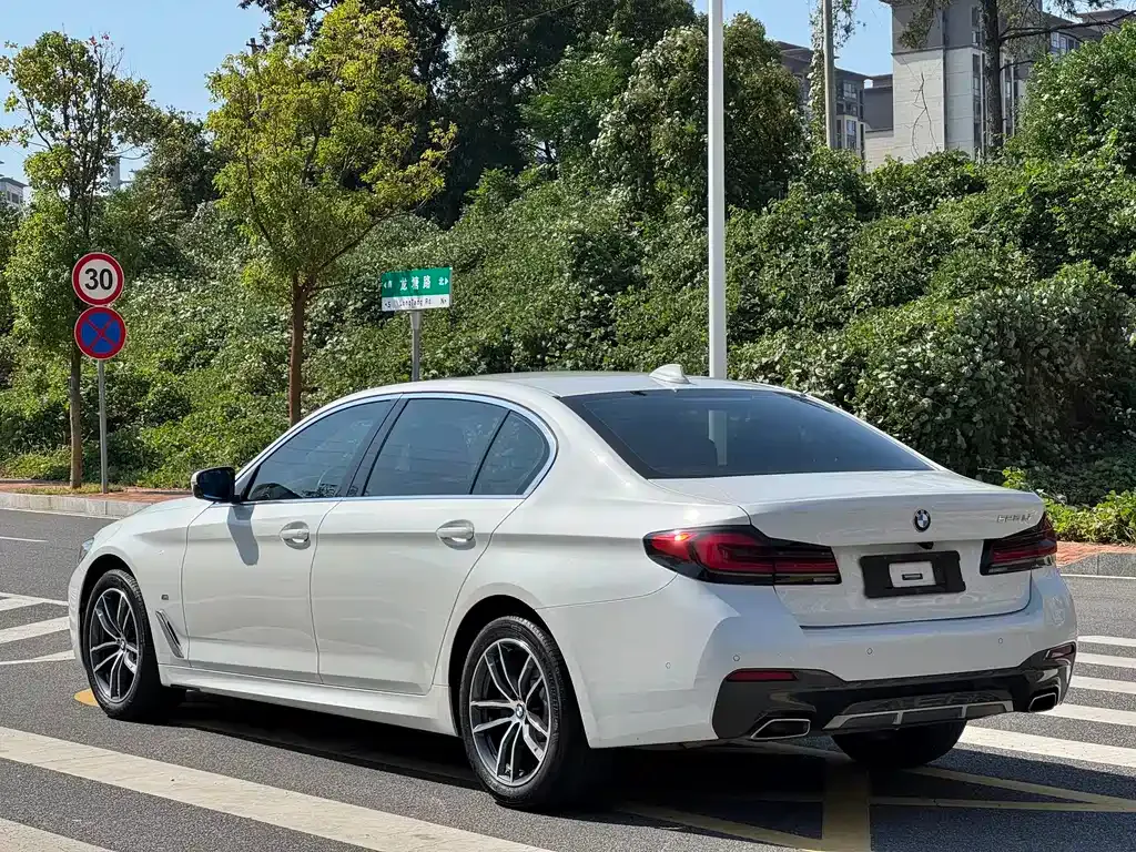BMW 5 Series 2022 из CN, фото 7