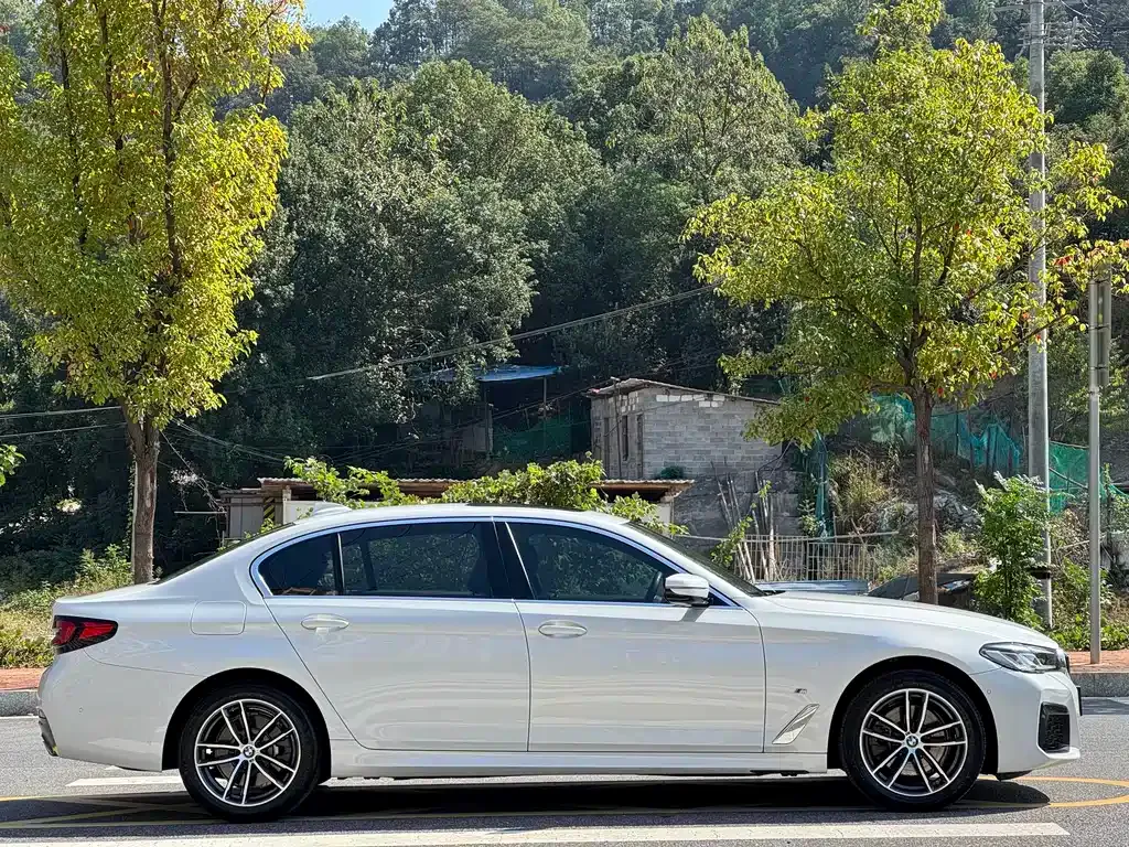 BMW 5 Series 2022 из CN, фото 8