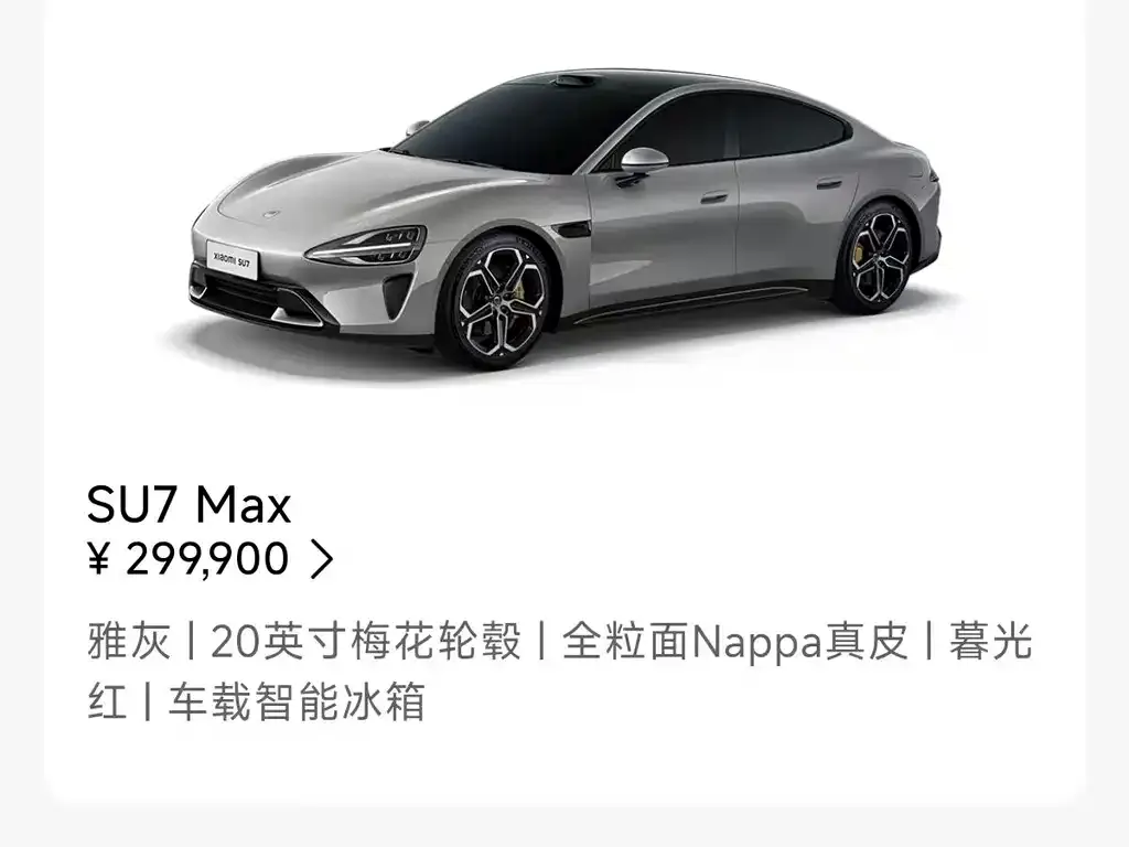 Xiaomi SU7 2024 из CN, фото 8