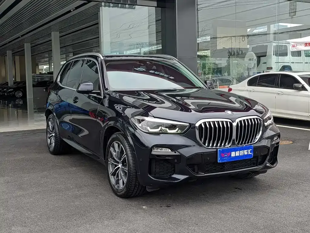 BMW X5 (Import) 2021 из CN, фото 3