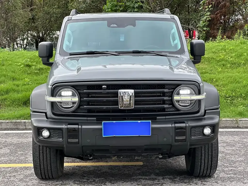 [object Object] Tank 300 2023 из CN, фото 2