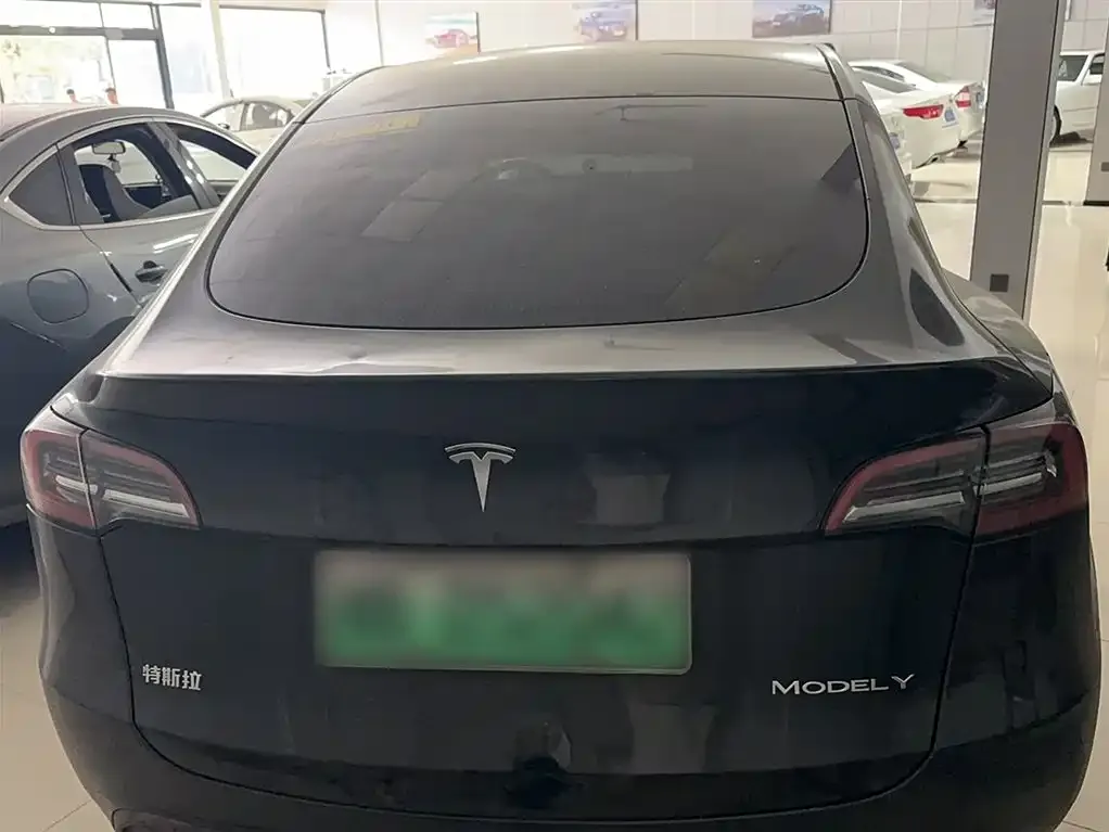 [object Object] Model Y 2022 из CN, фото 6