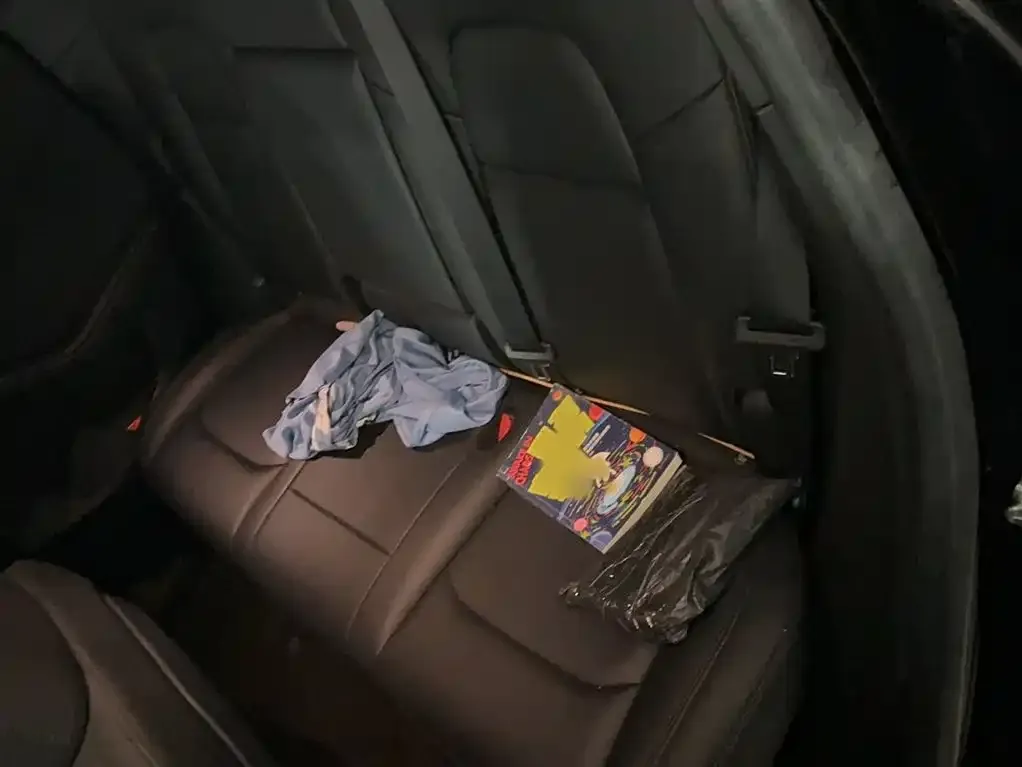 [object Object] Model Y 2022 из CN, фото 8