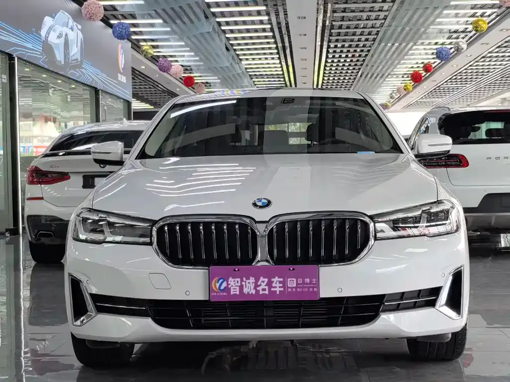 BMW 5 Series 2023 из CN, фото 2