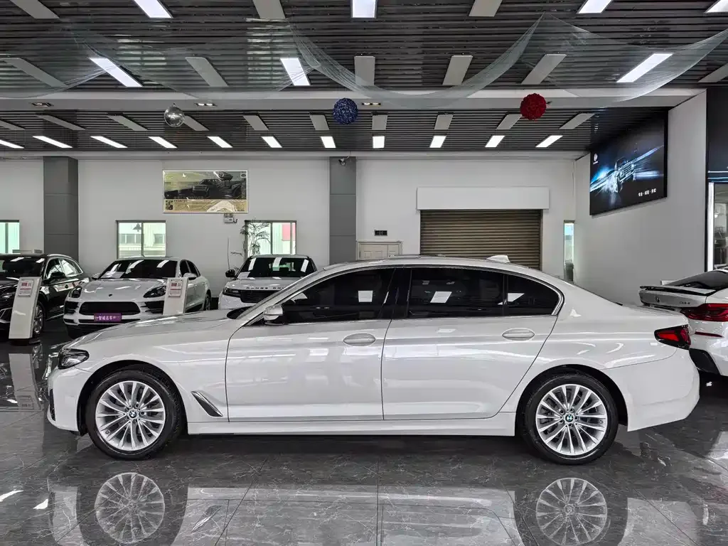 BMW 5 Series 2023 из CN, фото 3