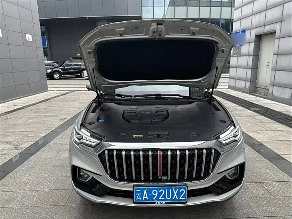 Hongqi HS5 2023 из CN, фото 4