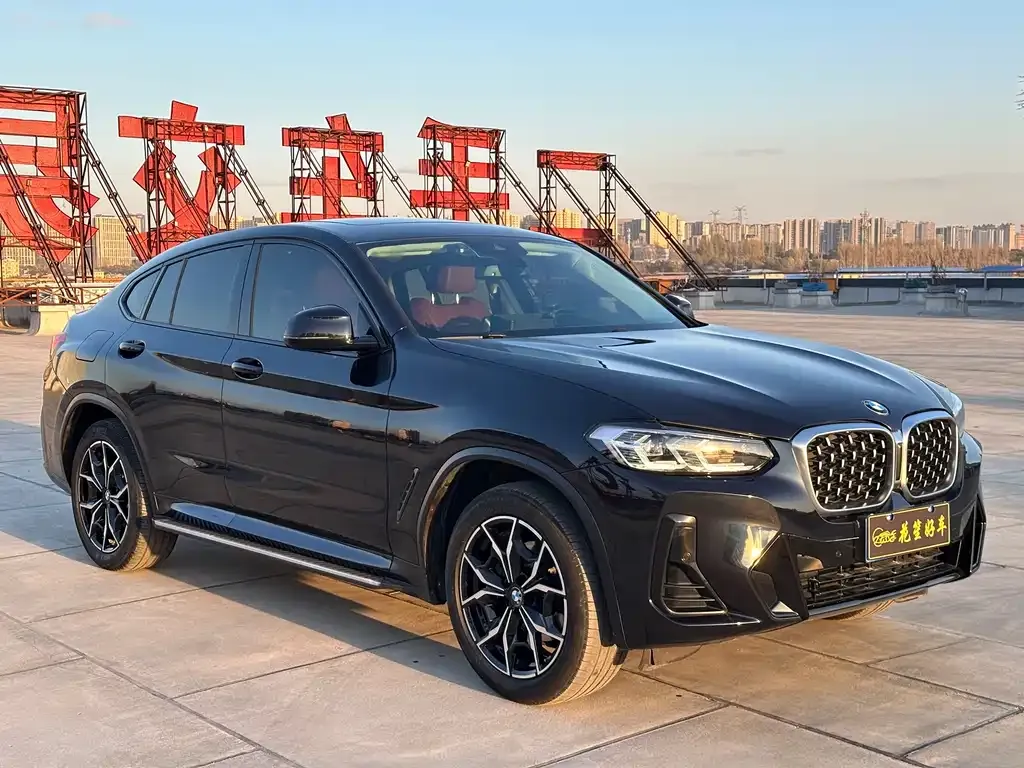 BMW X4 2022 из CN, фото 3