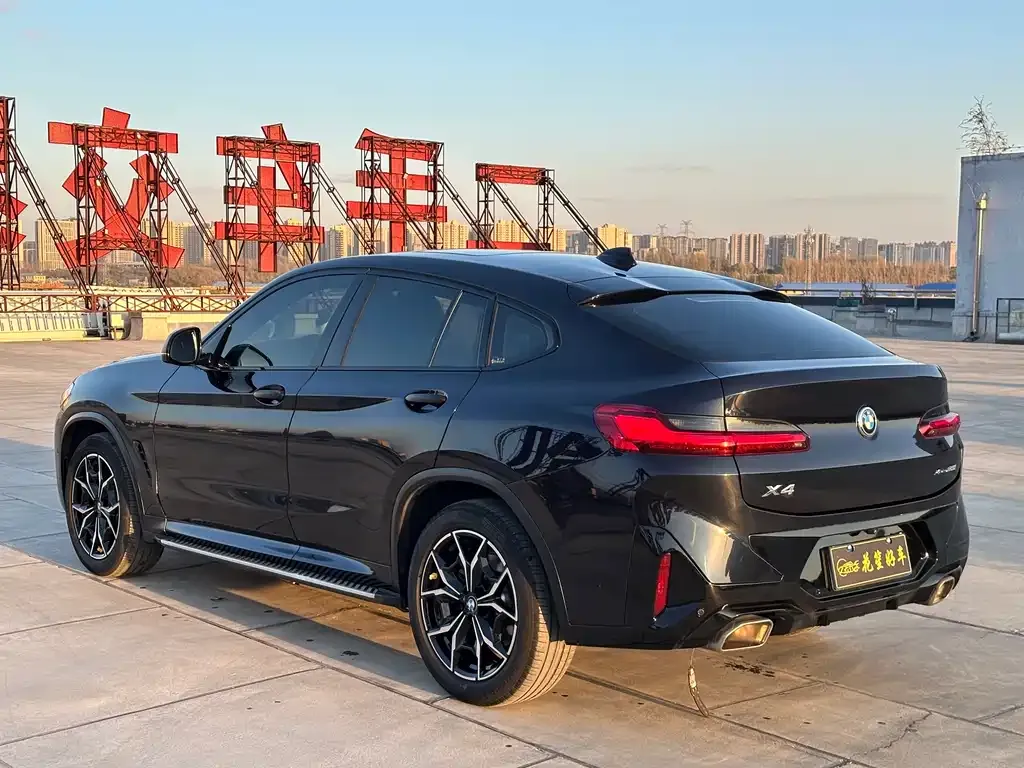 BMW X4 2022 из CN, фото 5