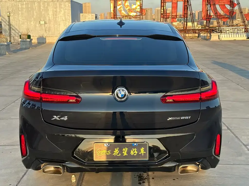 BMW X4 2022 из CN, фото 6