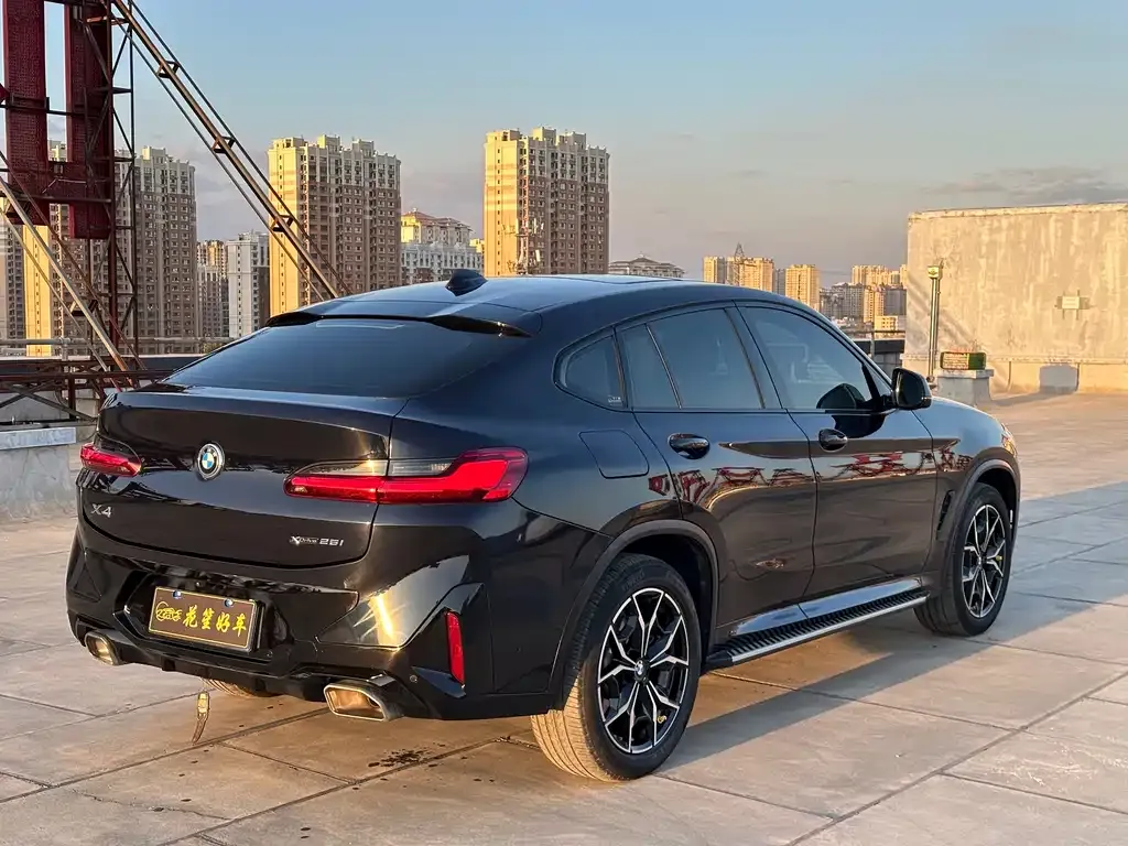 BMW X4 2022 из CN, фото 7