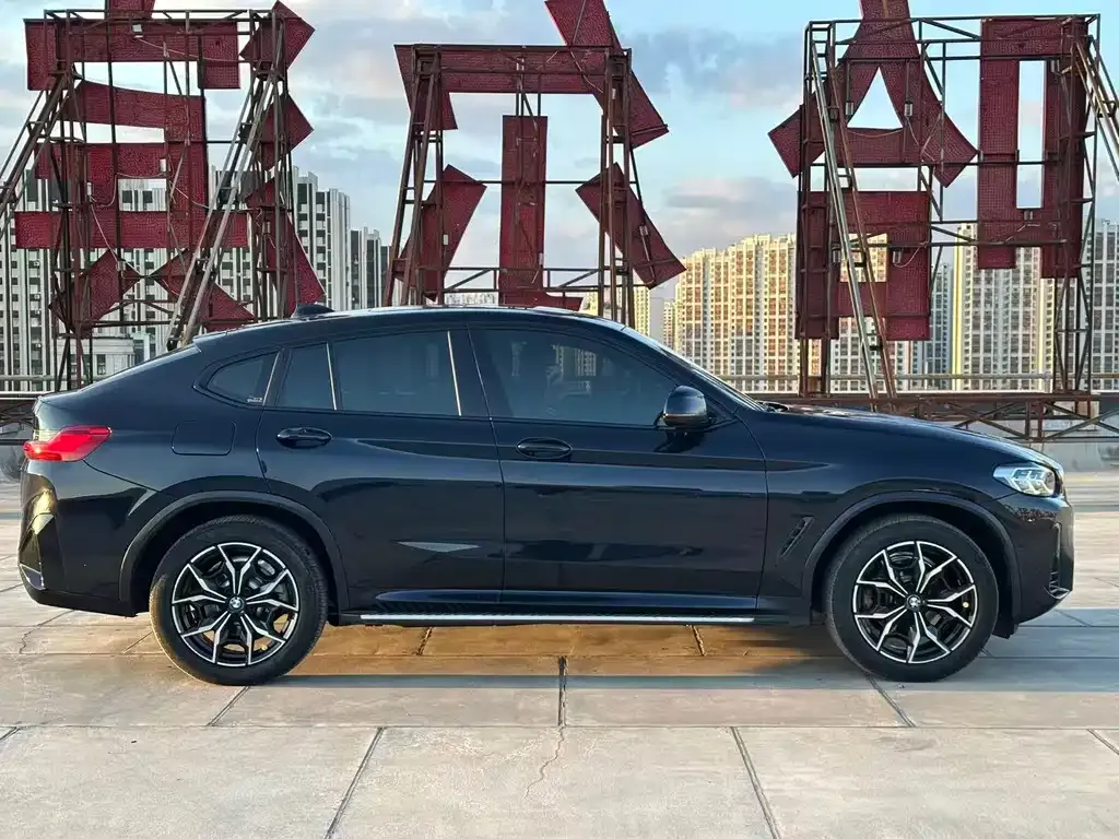 BMW X4 2022 из CN, фото 9