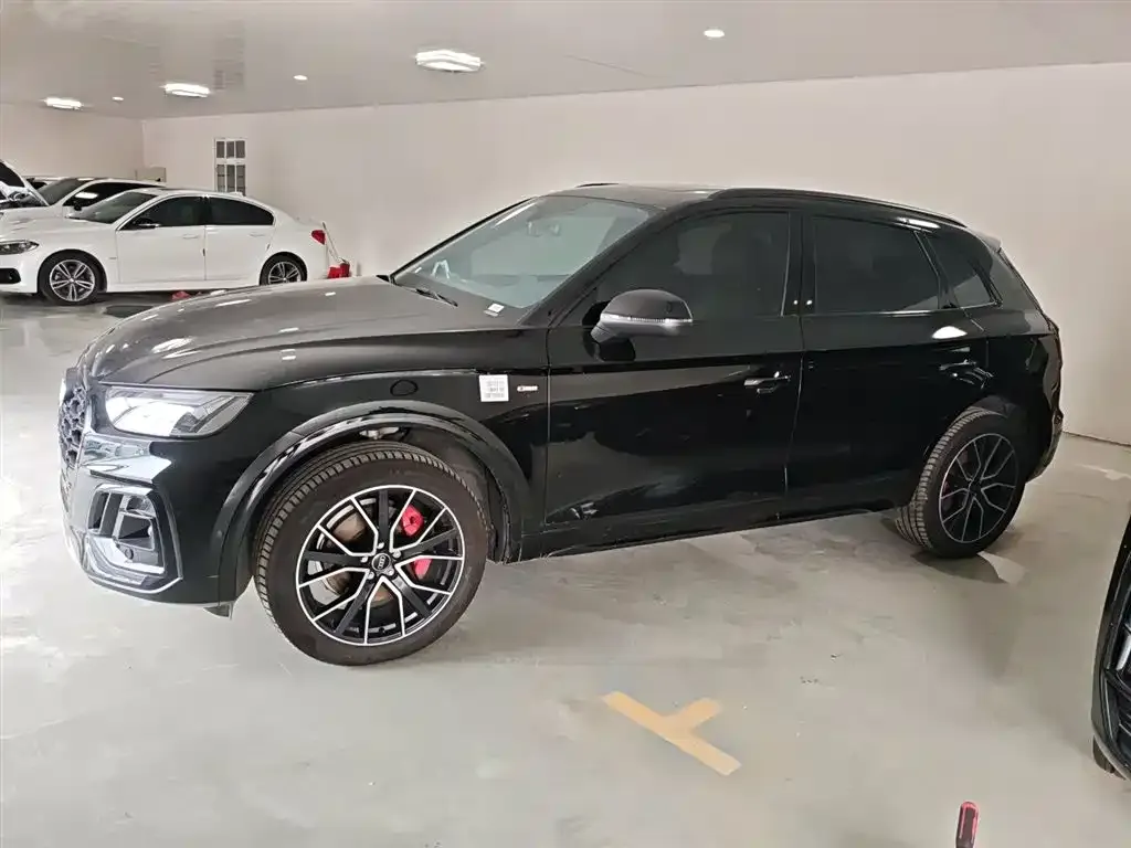 Audi Q5L 2024 из CN, фото 5