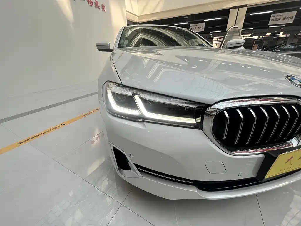 BMW 5 Series 2023 из CN, фото 6