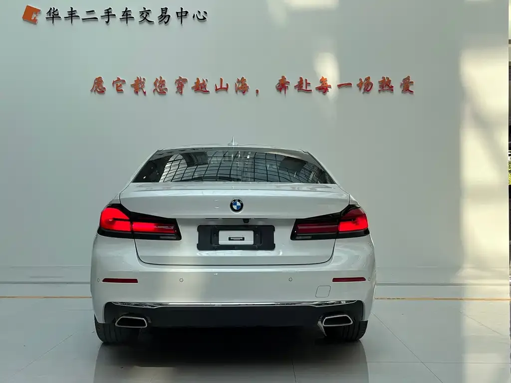 BMW 5 Series 2023 из CN, фото 9