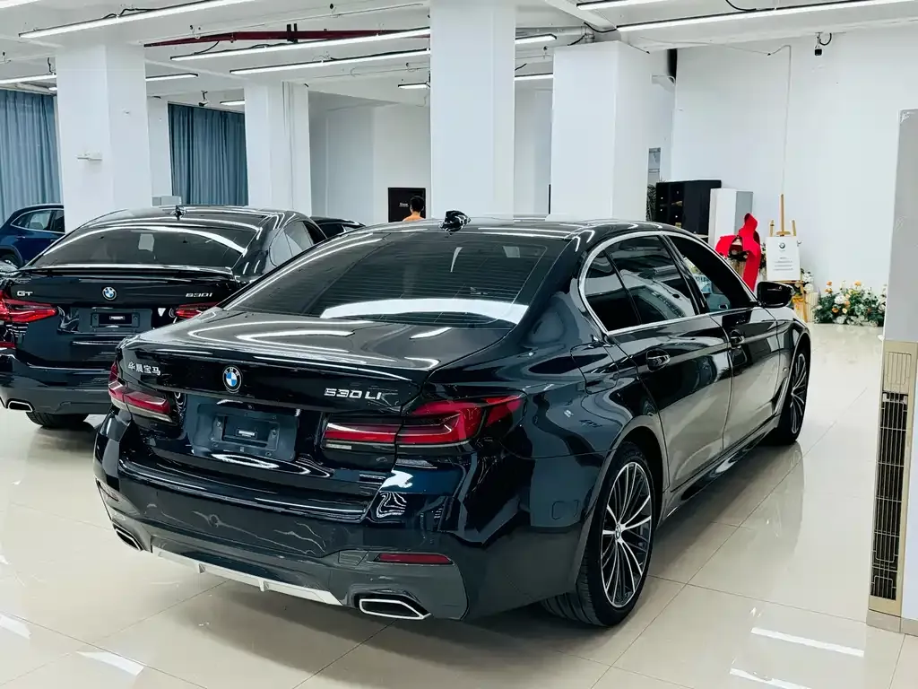 BMW 5 Series 2021 из CN, фото 10