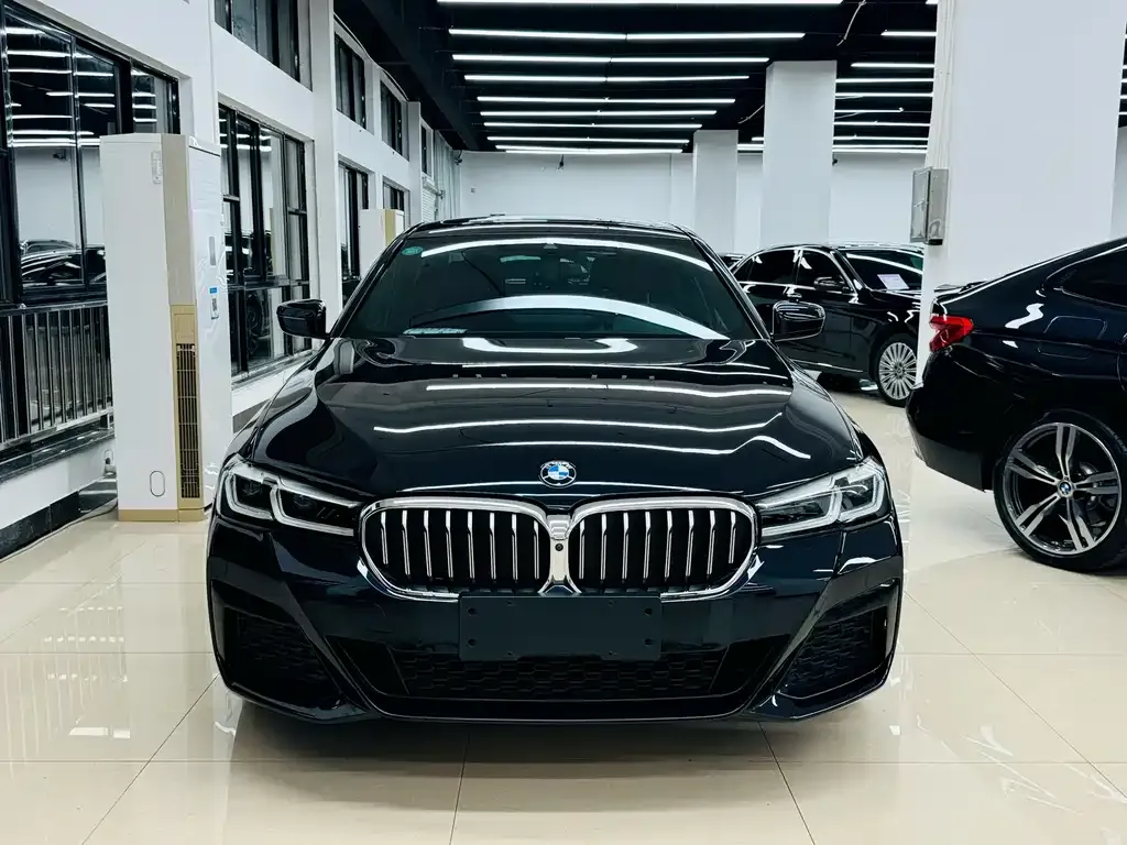 BMW 5 Series 2021 из CN, фото 2