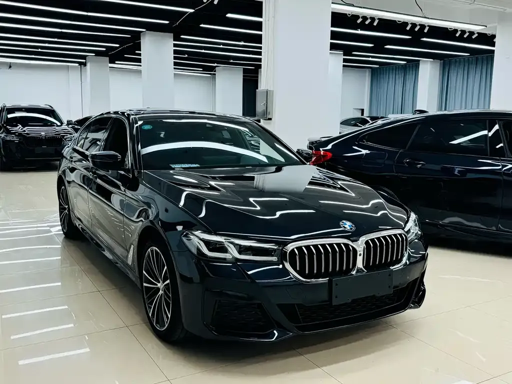 BMW 5 Series 2021 из CN, фото 3
