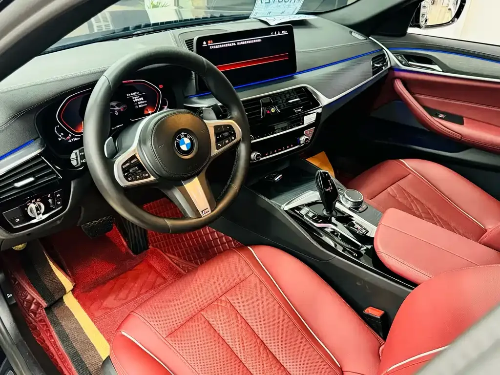 BMW 5 Series 2021 из CN, фото 5