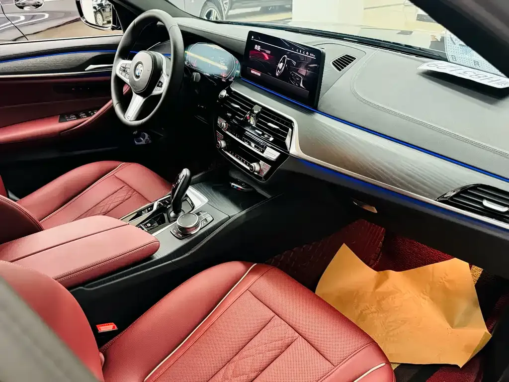 BMW 5 Series 2021 из CN, фото 9