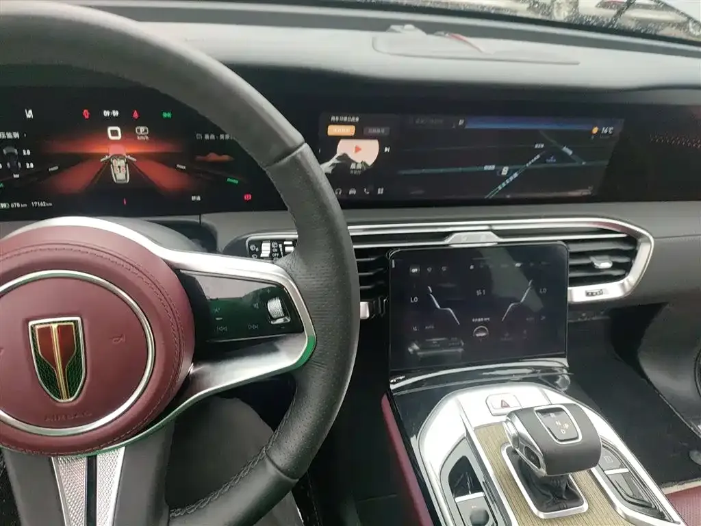 Hongqi E-HS9 2023 из CN, фото 10