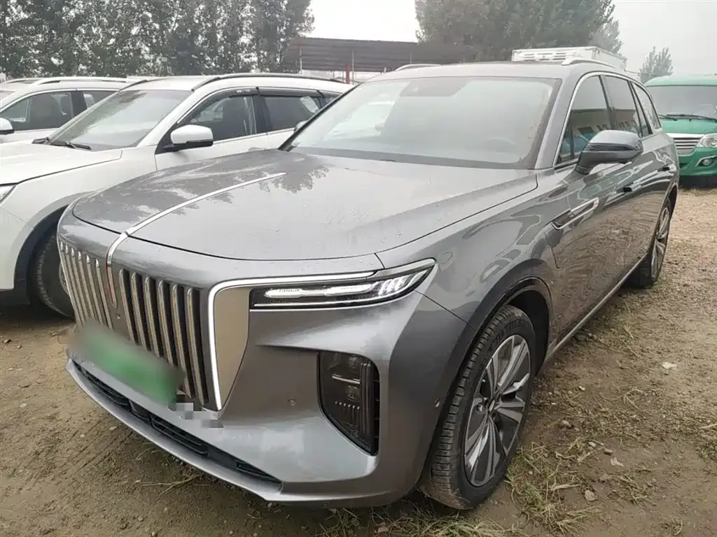 Hongqi E-HS9 2023 из CN, фото 2