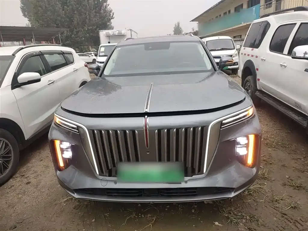 Hongqi E-HS9 2023 из CN, фото 3