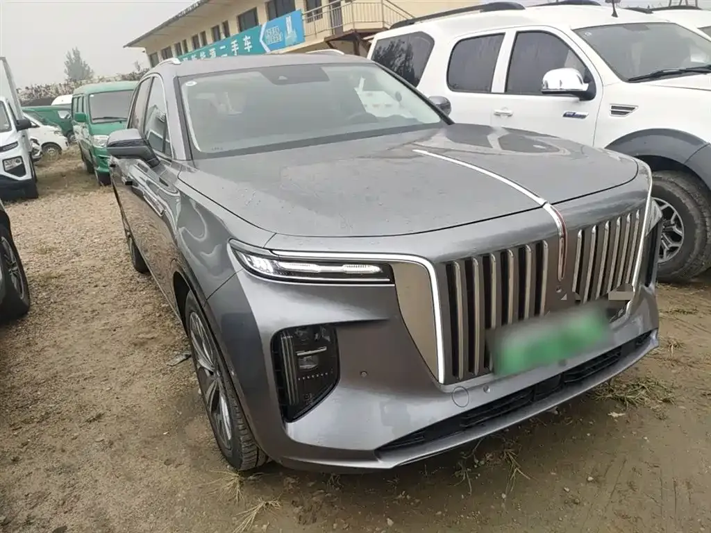Hongqi E-HS9 2023 из CN, фото 4