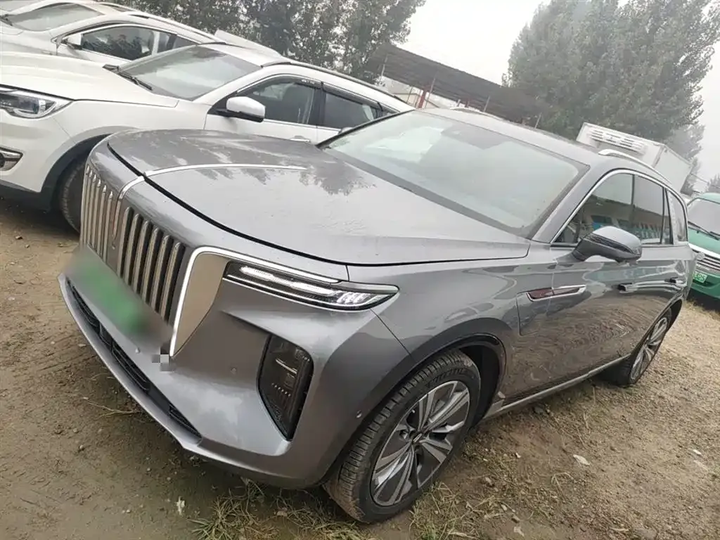 Hongqi E-HS9 2023 из CN, фото 5