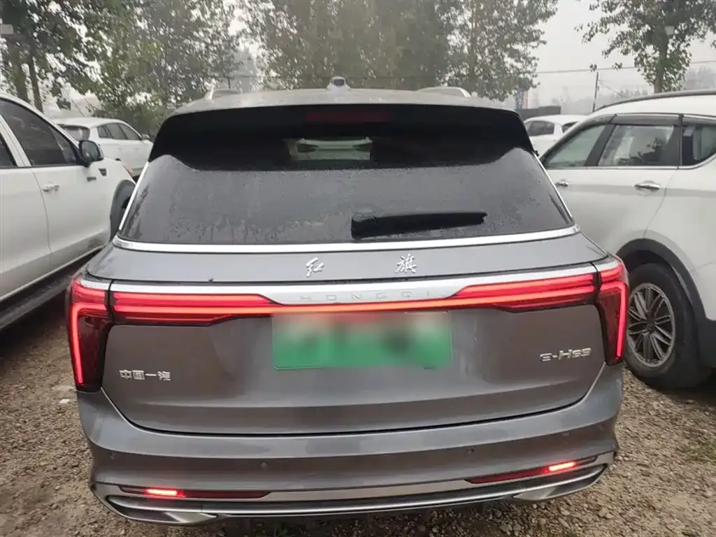 Hongqi E-HS9 2023 из CN, фото 6