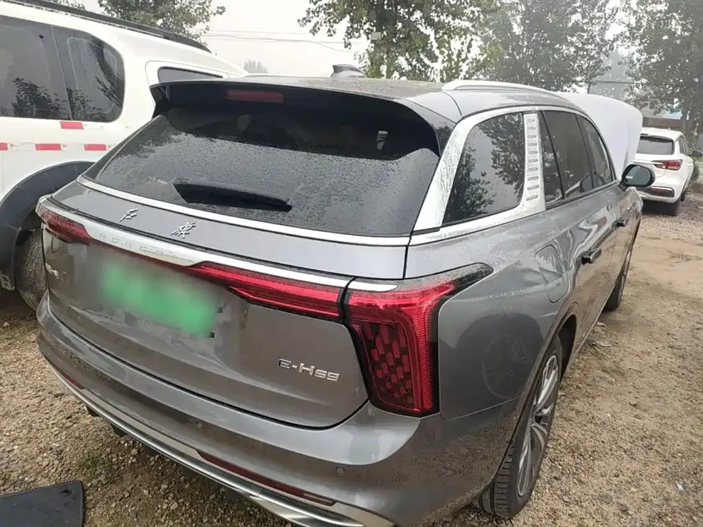 Hongqi E-HS9 2023 из CN, фото 7