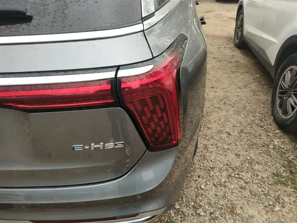 Hongqi E-HS9 2023 из CN, фото 8