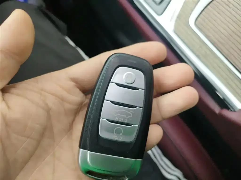 Hongqi E-HS9 2023 из CN, фото 9