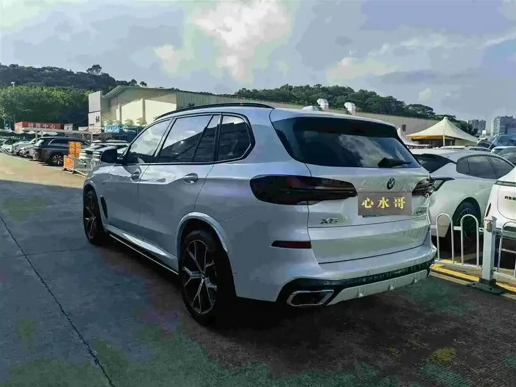 BMW X5 2024 из CN, фото 4