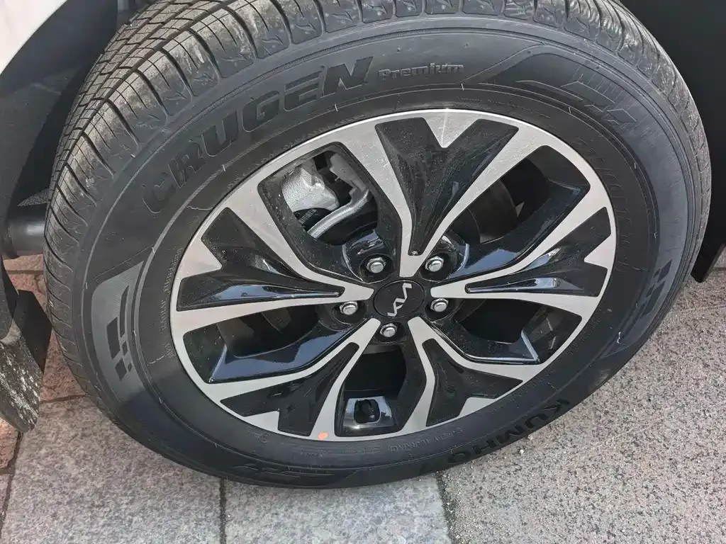 Kia Carnival 2025 из CN, фото 6