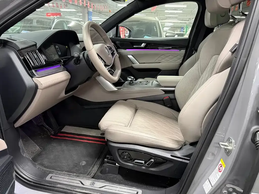 BYD Tang New Energy 2025 из CN, фото 4