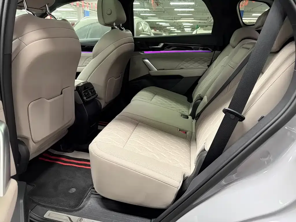 BYD Tang New Energy 2025 из CN, фото 5