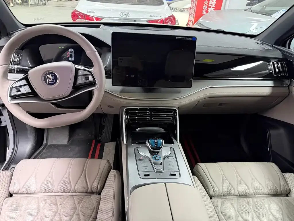 BYD Tang New Energy 2025 из CN, фото 6