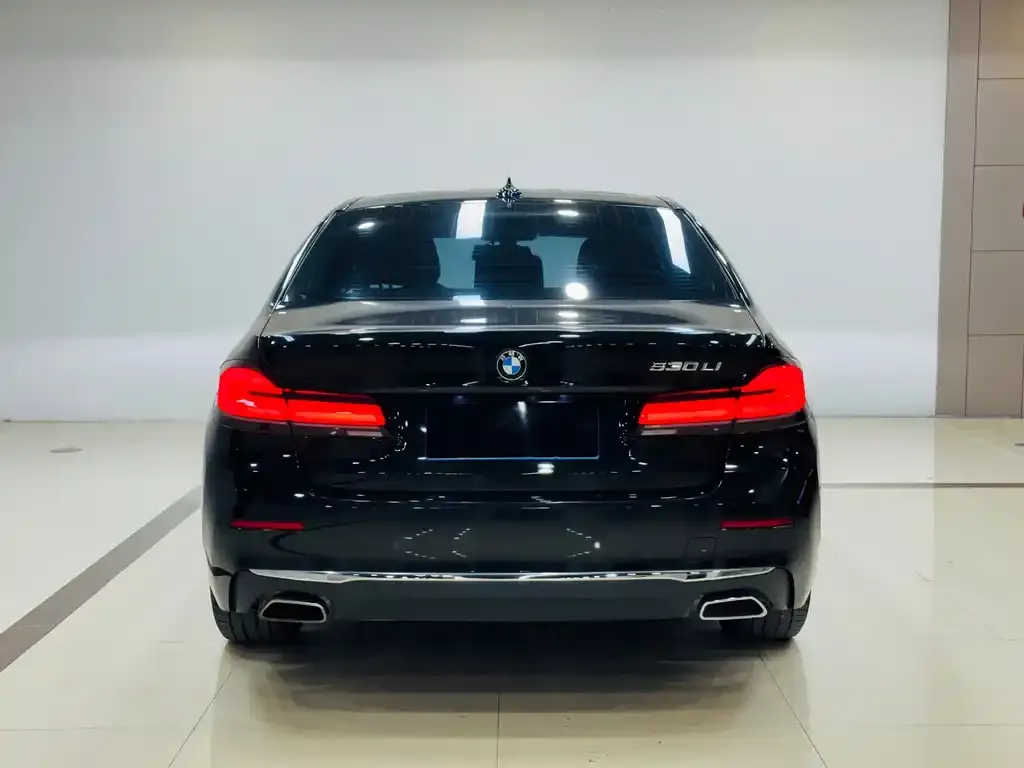 BMW 5 Series 2022 из CN, фото 10