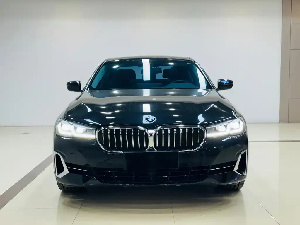 BMW 5 Series 2022 из CN, фото 2