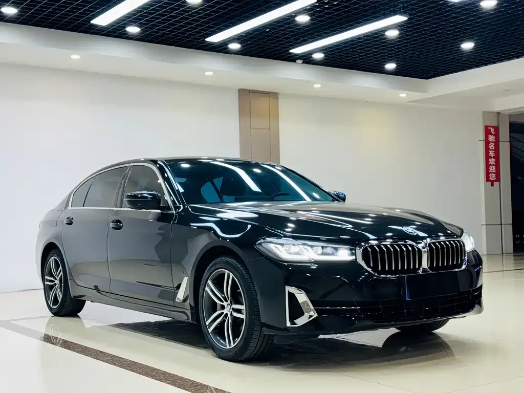 BMW 5 Series 2022 из CN, фото 3