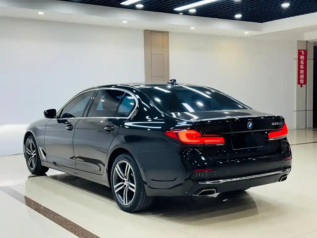 BMW 5 Series 2022 из CN, фото 8