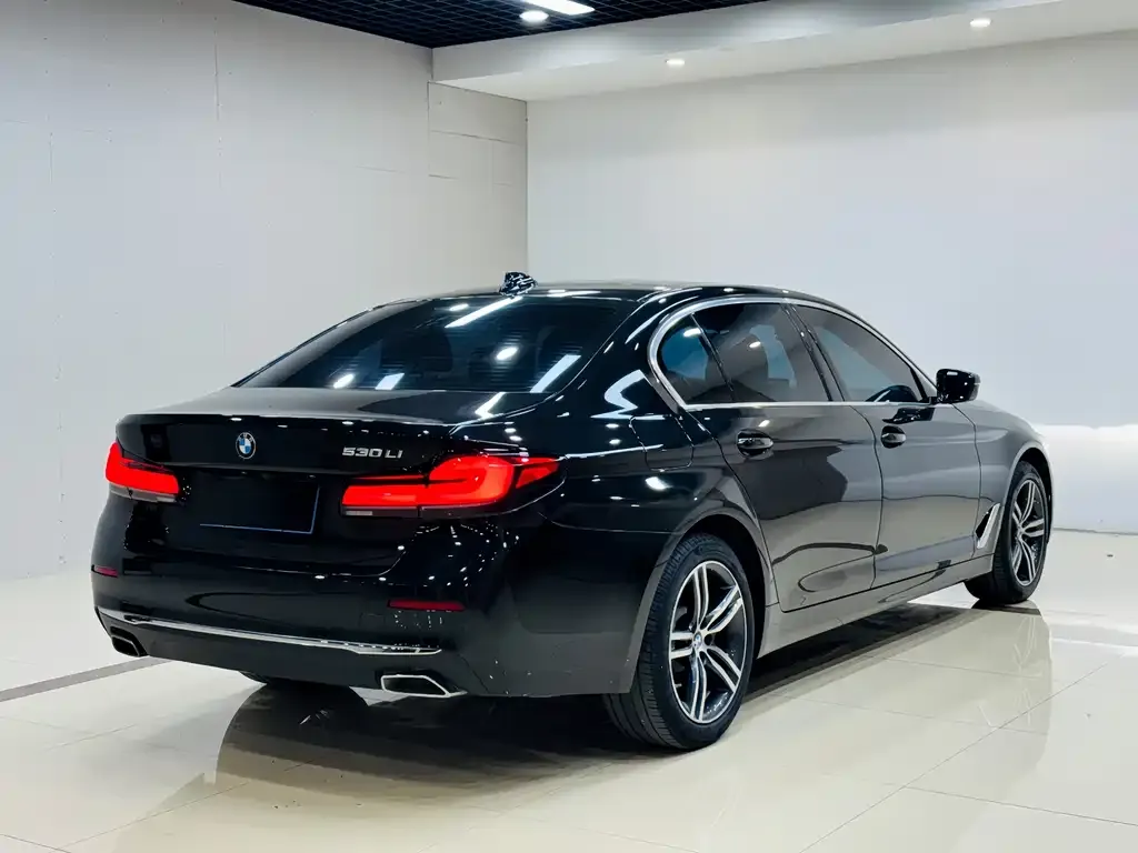 BMW 5 Series 2022 из CN, фото 9