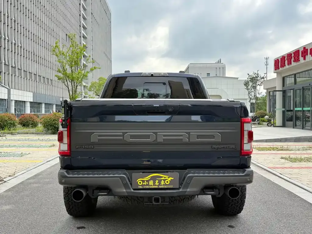 [object Object] F-150 Raptor 2023 из CN, фото 10