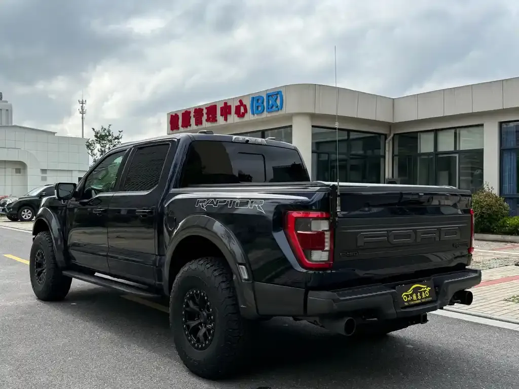 [object Object] F-150 Raptor 2023 из CN, фото 9